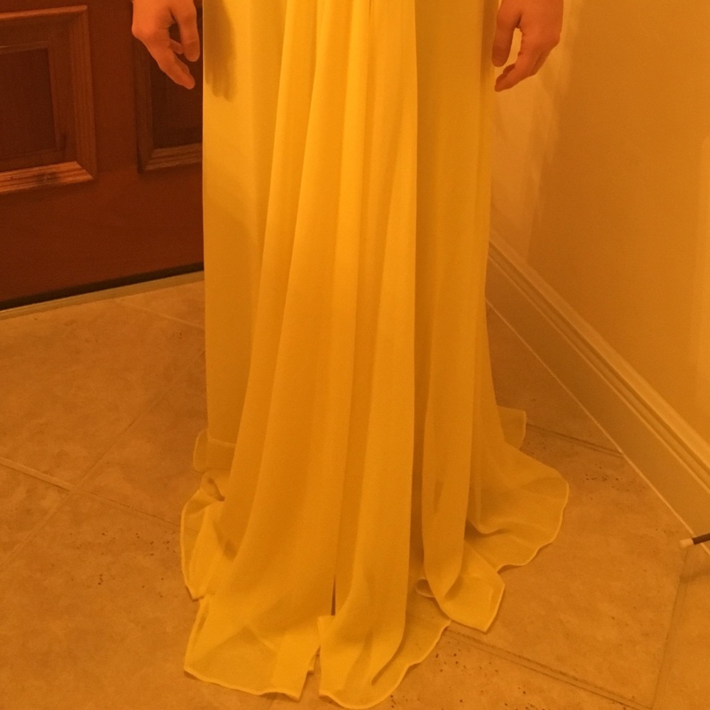 Stunning BCBG Daniele Formal Gown - Picture 3 of 6
